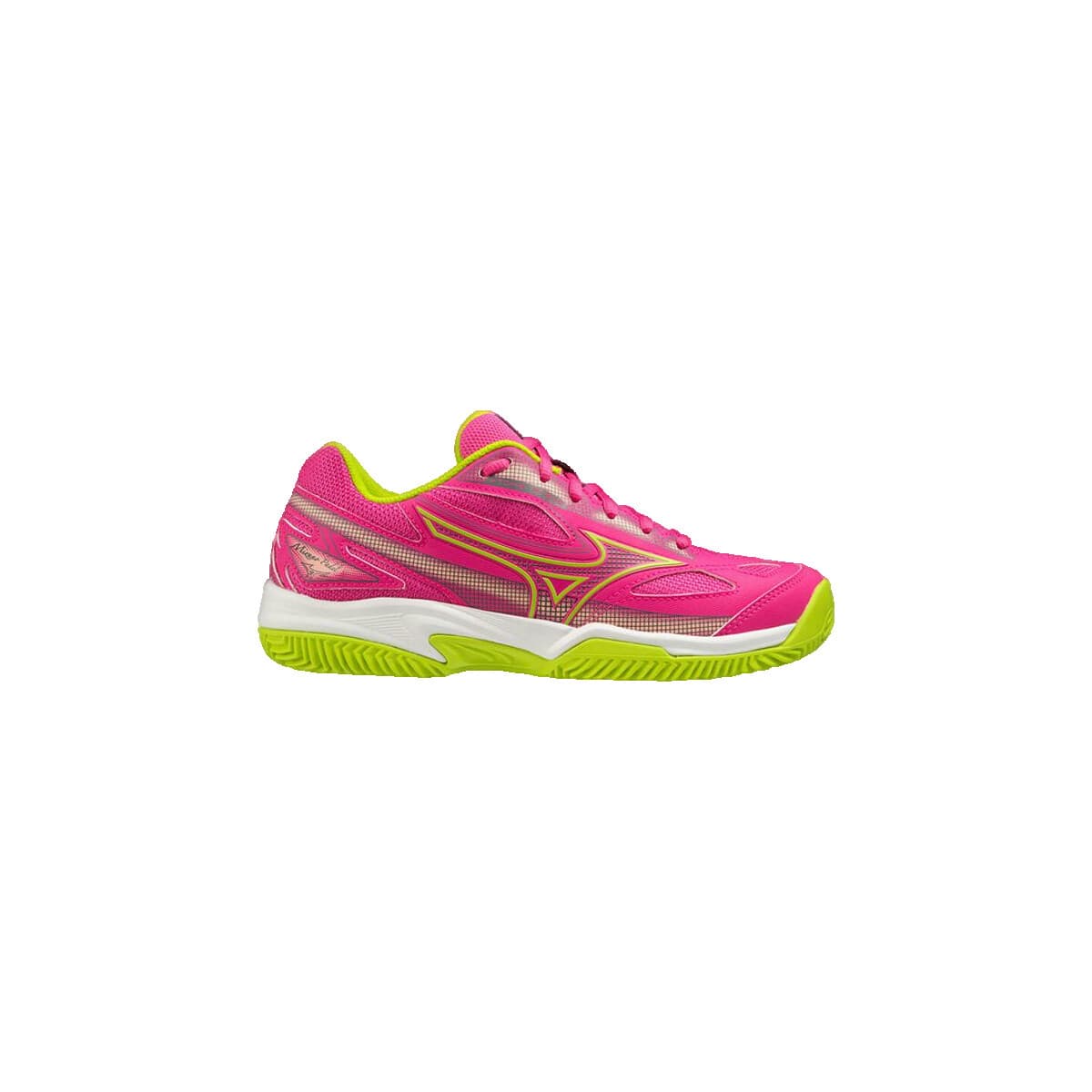 Women's Gym Shoes Mizuno Pink