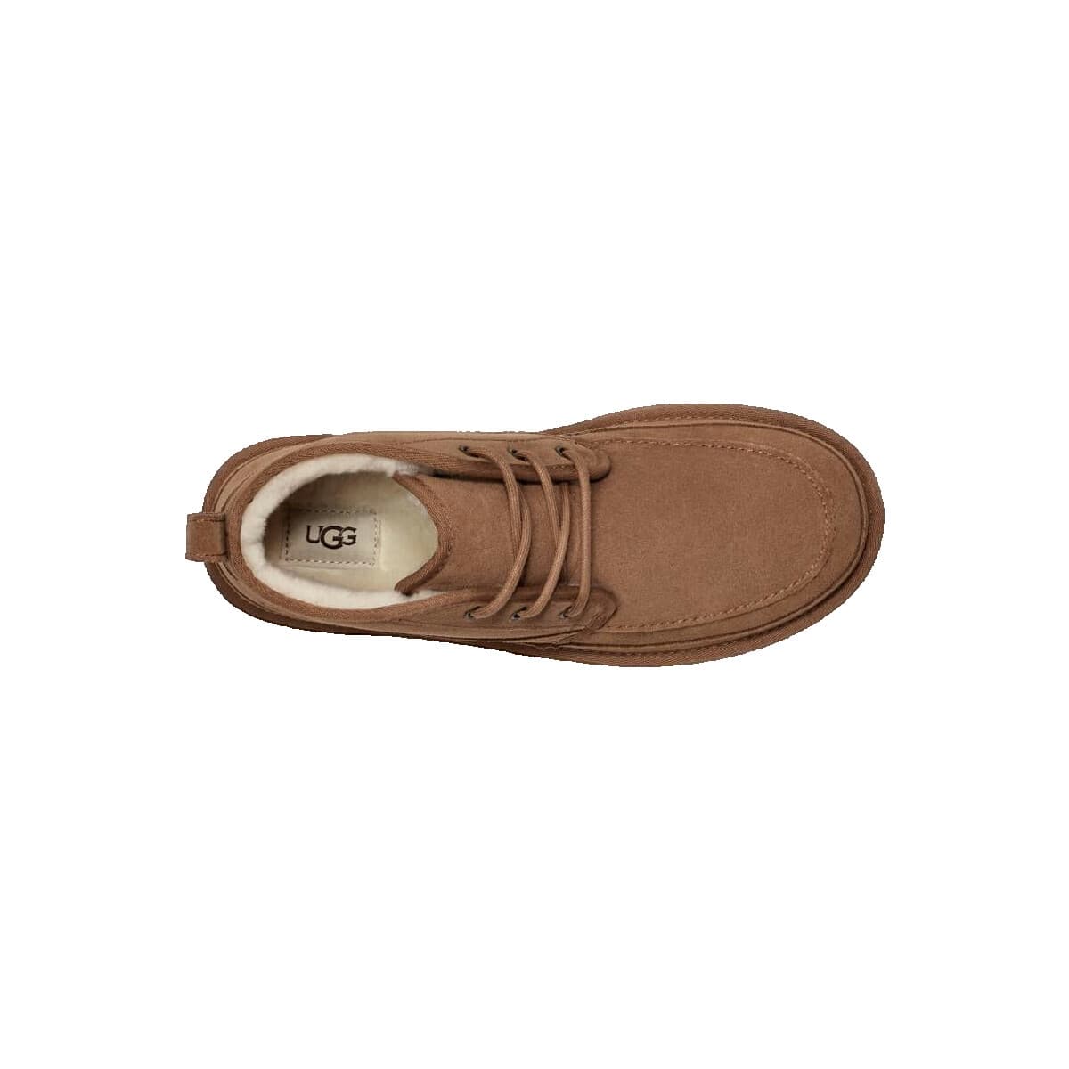 Men's Boots UGG Brown