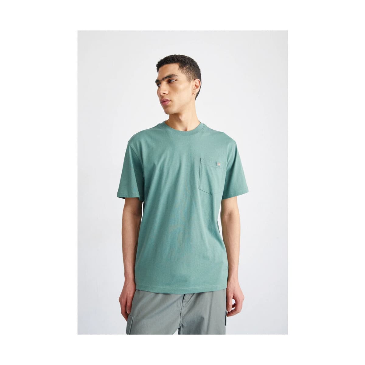 Men's T-Shirts Dickies Green