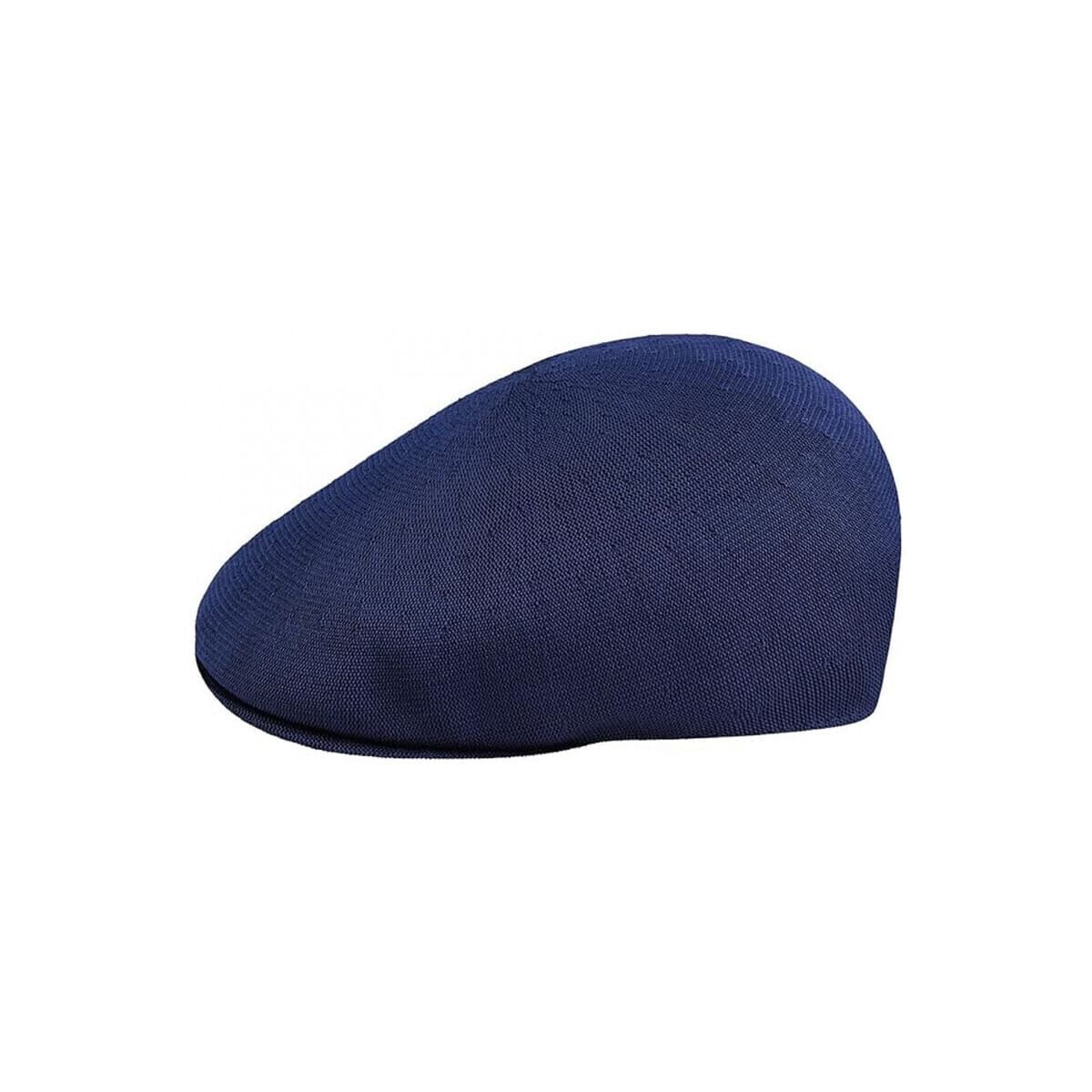 Men's Caps Kangol Blue