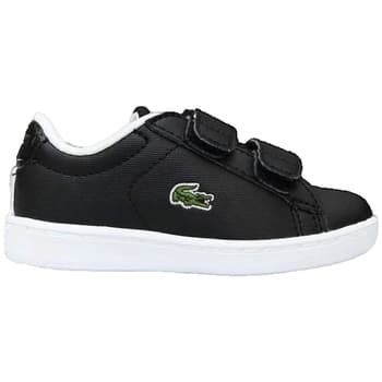 Sneakers Lacoste Carnaby Evo Strap