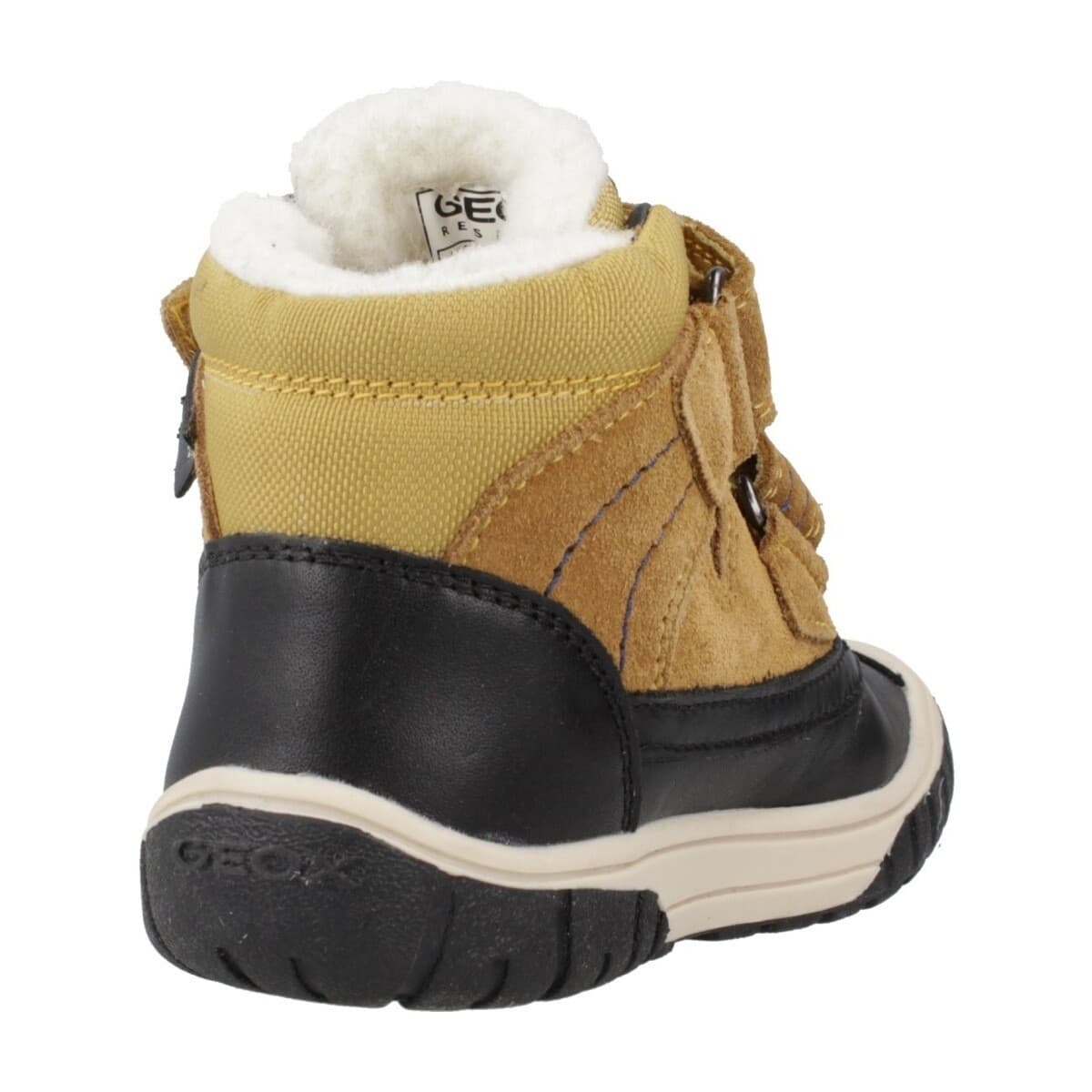 Boys' Boots Geox Brown