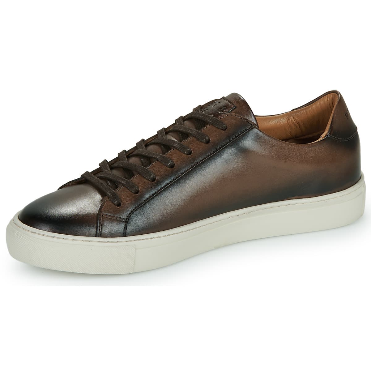 Men's Sneakers Pellet Brown