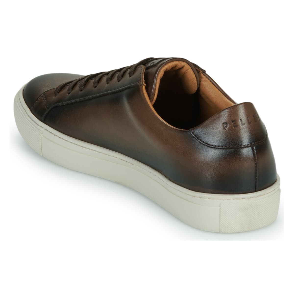 Men's Sneakers Pellet Brown