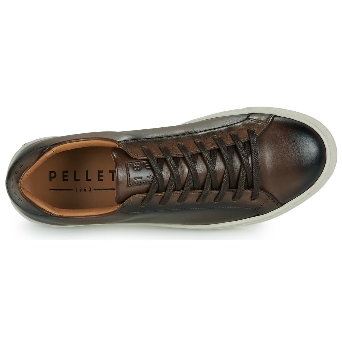 Men's Sneakers Pellet Brown