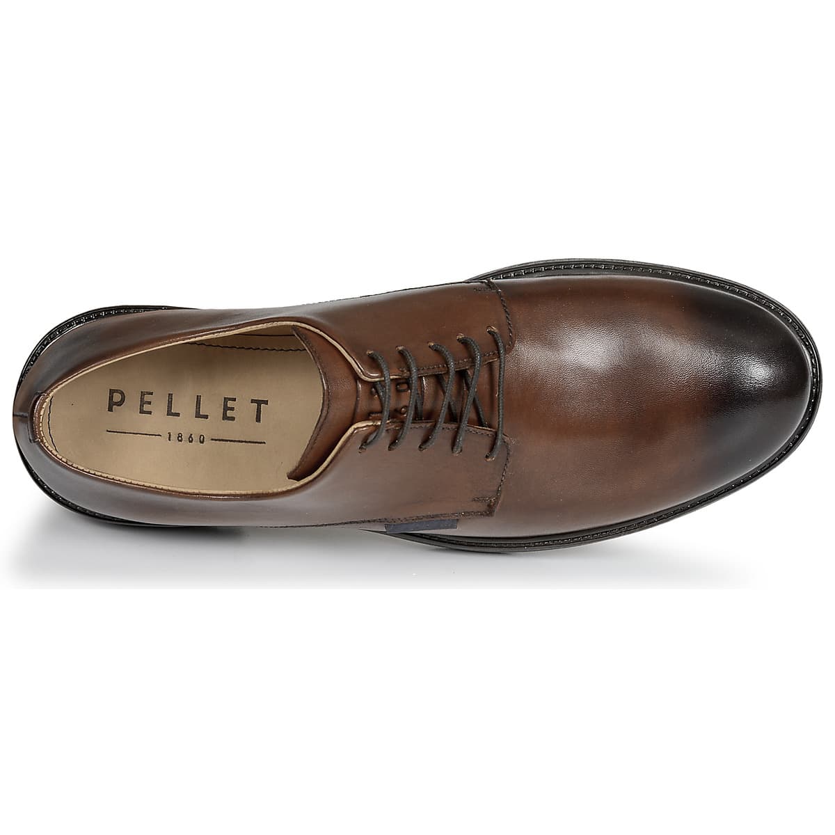 Men's Derby Shoes Pellet Brown
