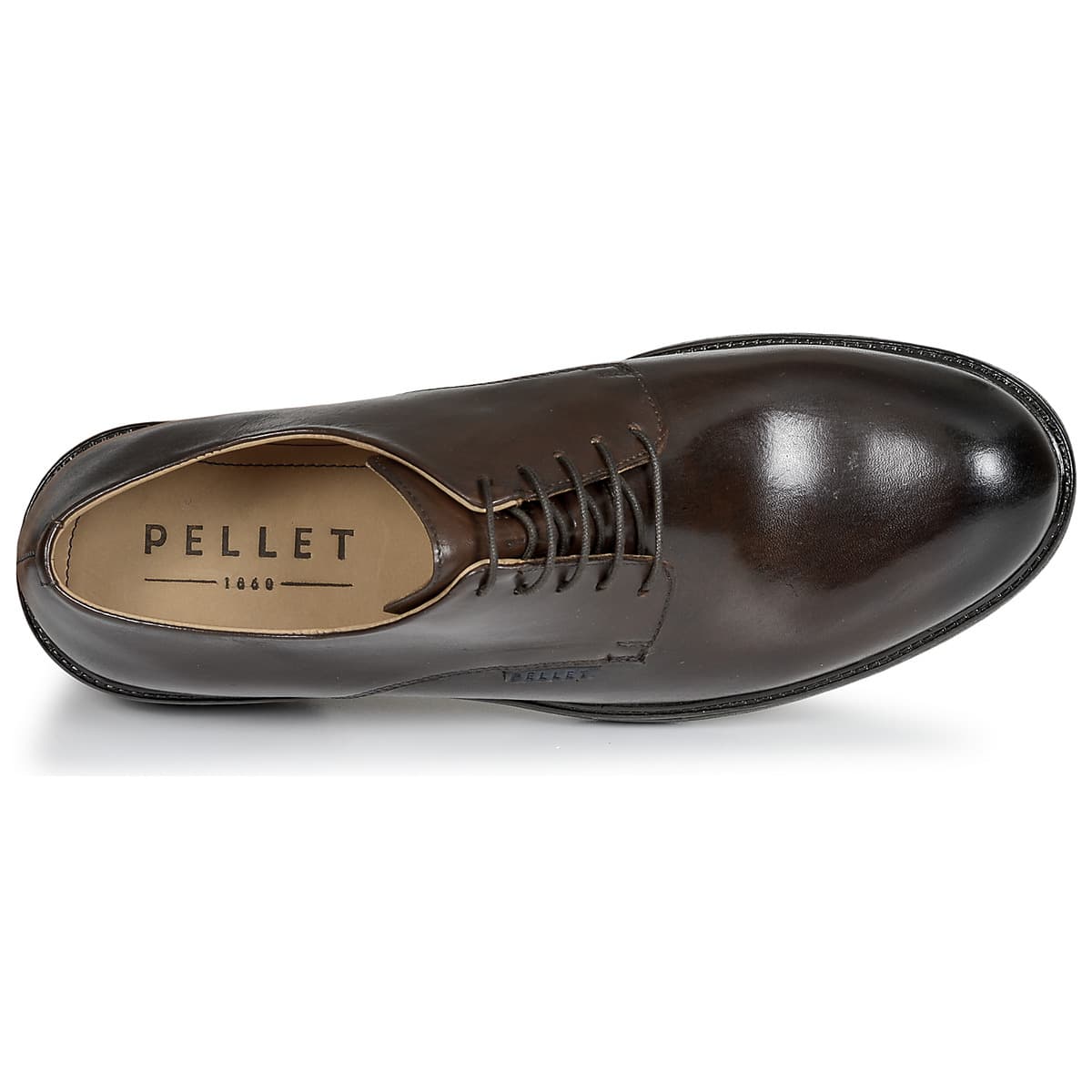 Men's Derby Shoes Pellet Brown