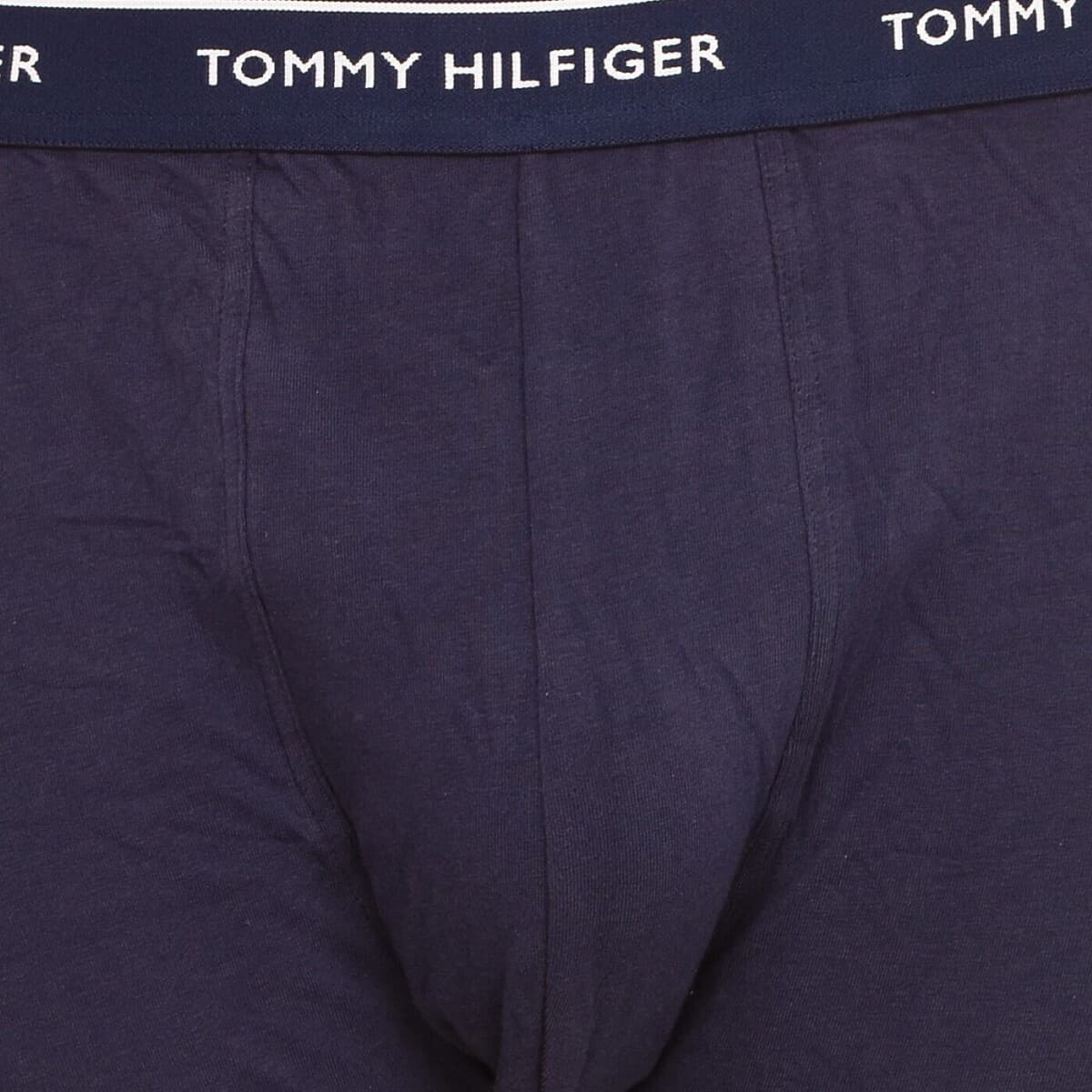 Men's Boxer Briefs Tommy Hilfiger Blue