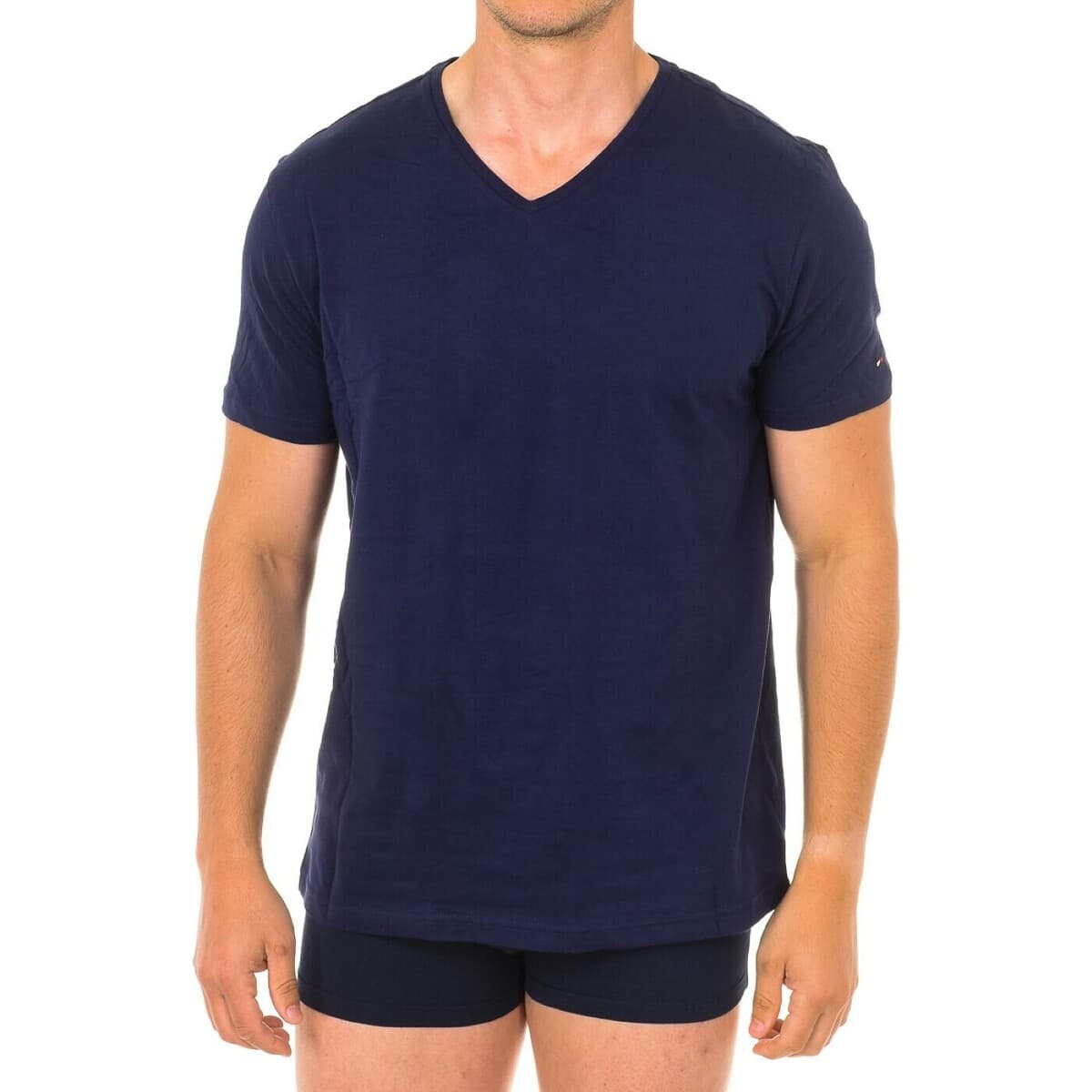 Men's T-Shirts Tommy Hilfiger Blue