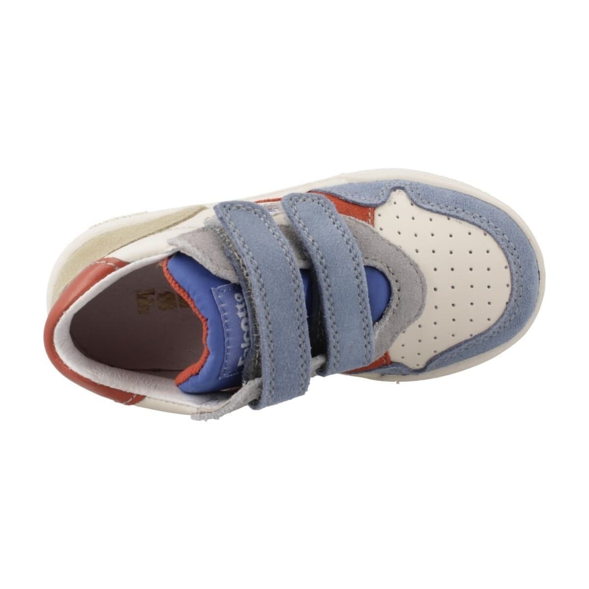 Boys' Sneakers Falcotto Blue