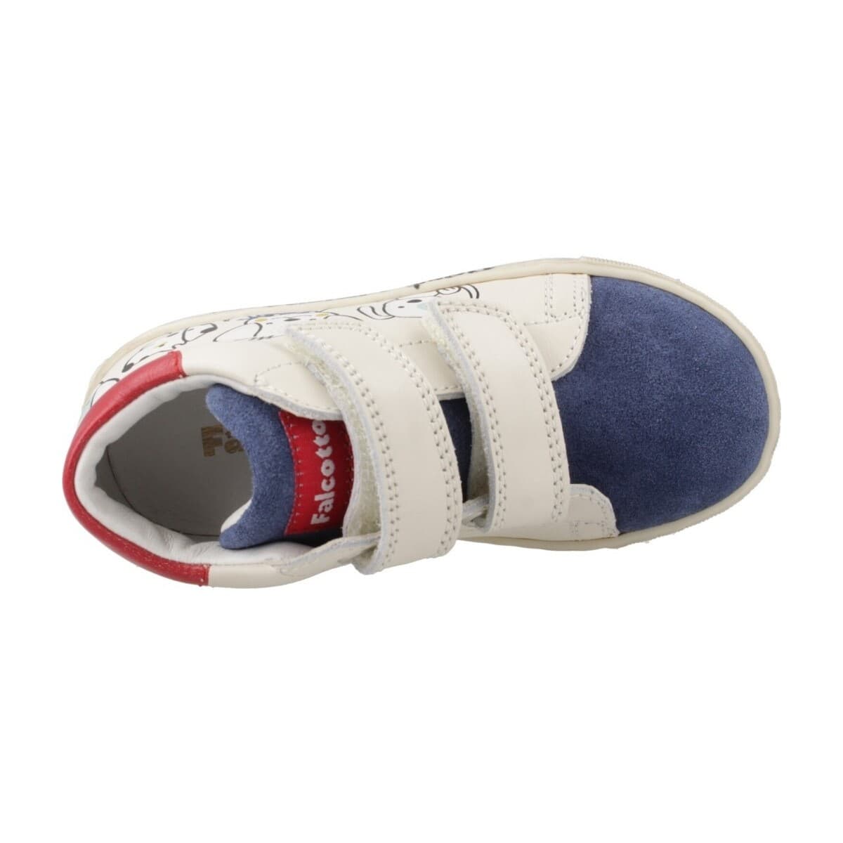 Boys' Sneakers Falcotto Blue