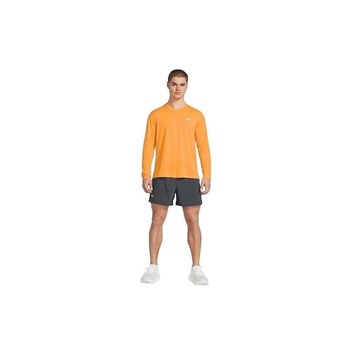 Men's Shorts Under Armour Gray