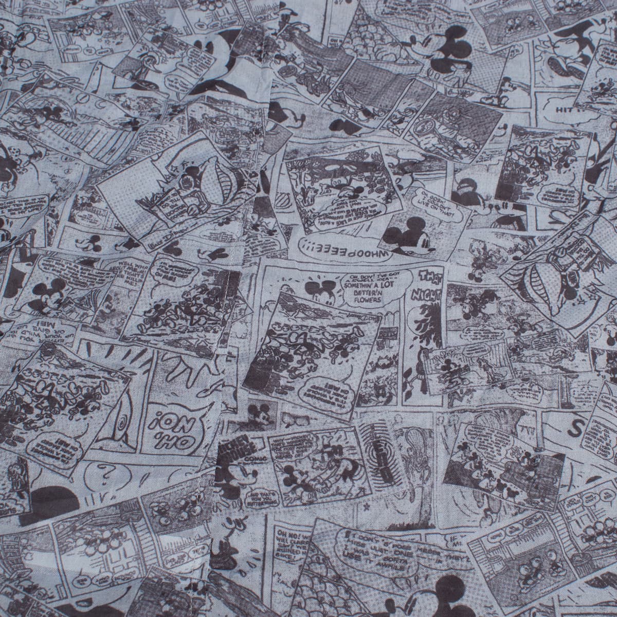 Women's Scarves Buff Gray