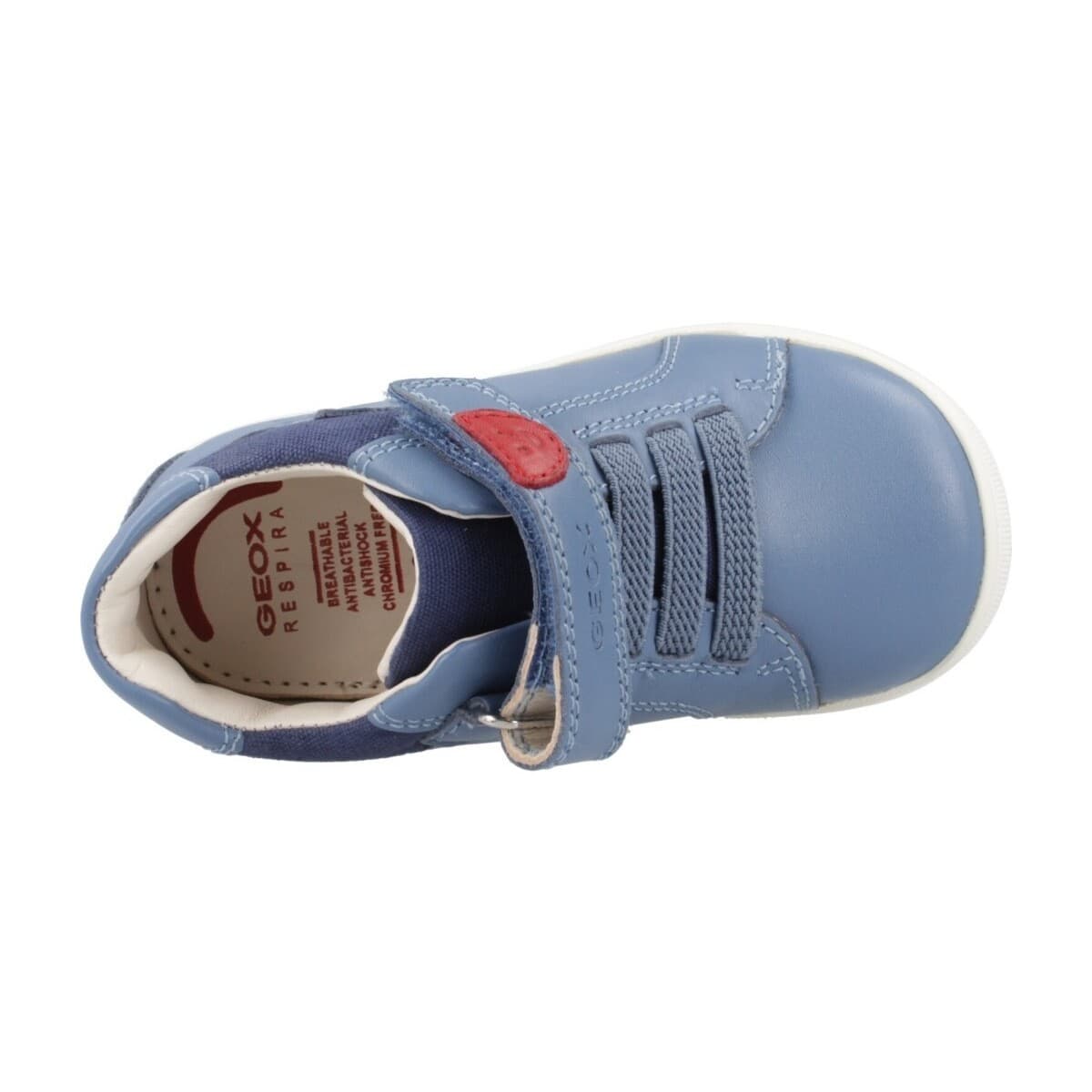 Boys' Dress Shoes Geox Blue