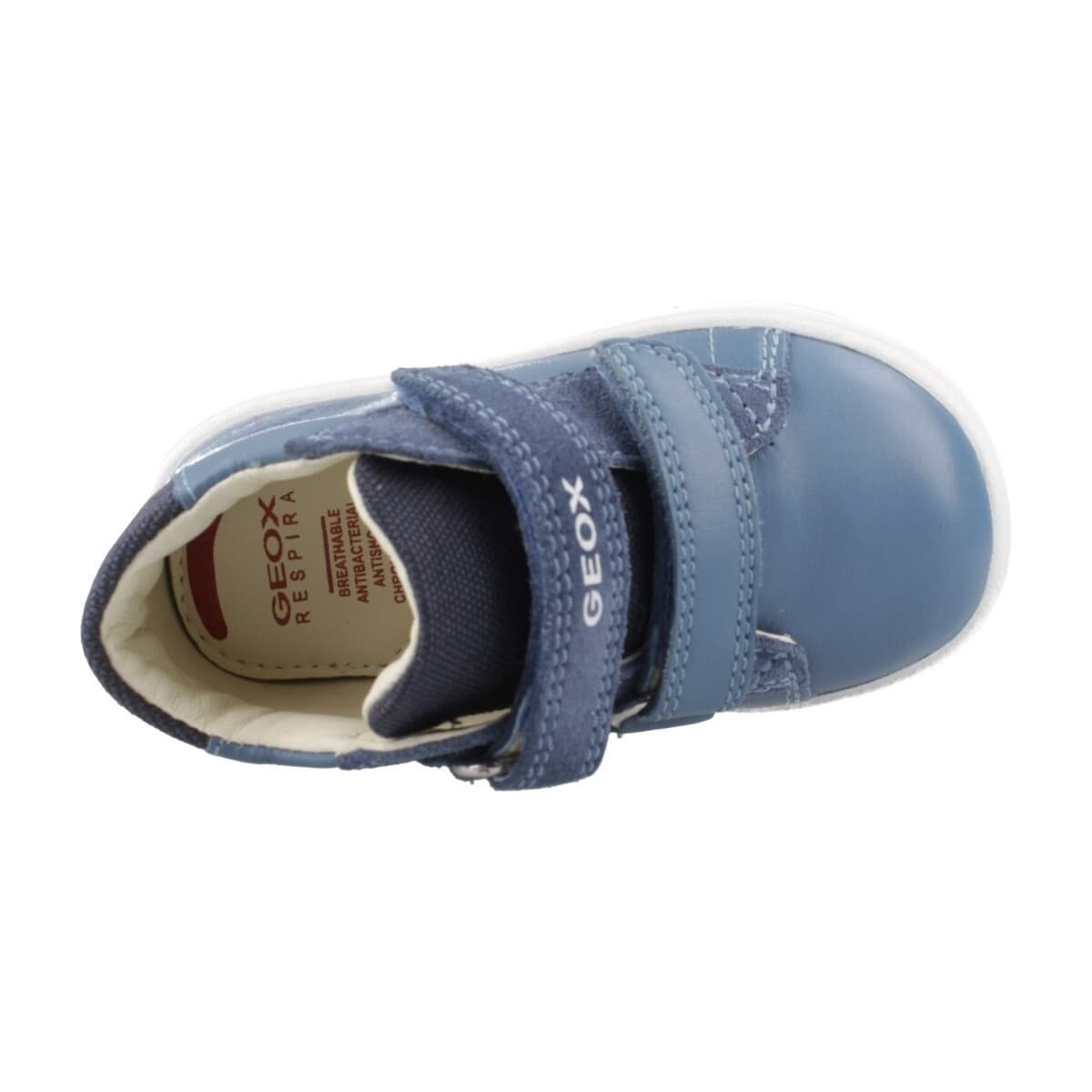 Boys' Boots Geox Blue