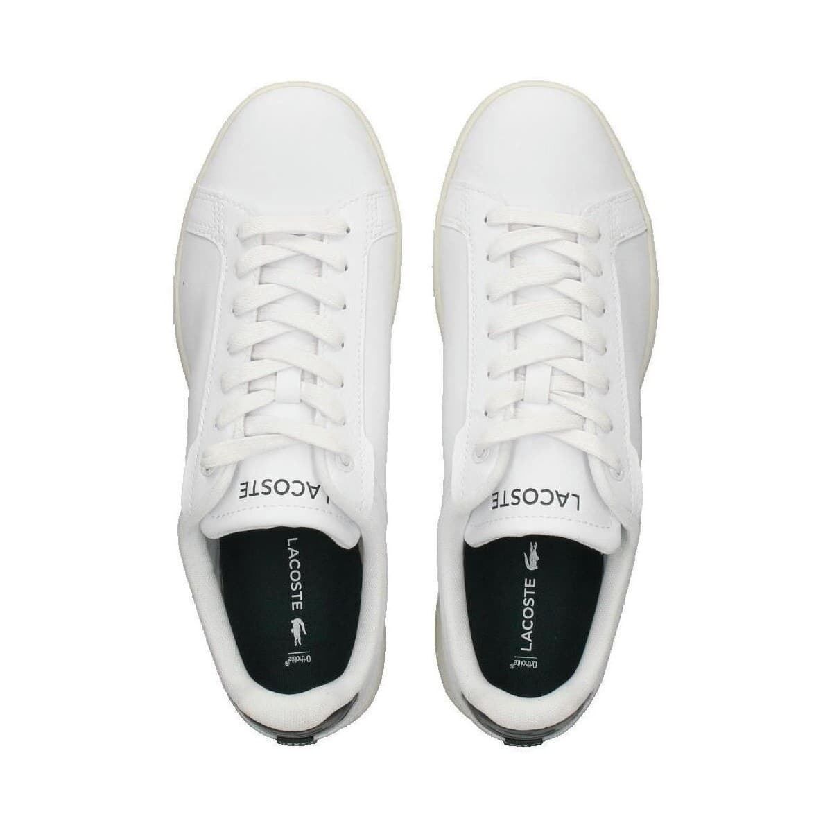 Men's Sneakers Lacoste White