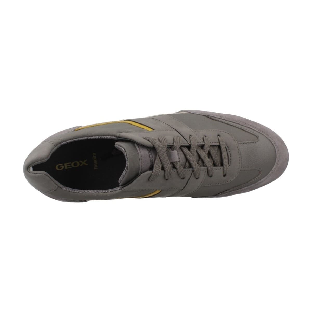 Men's Sneakers Geox Gray
