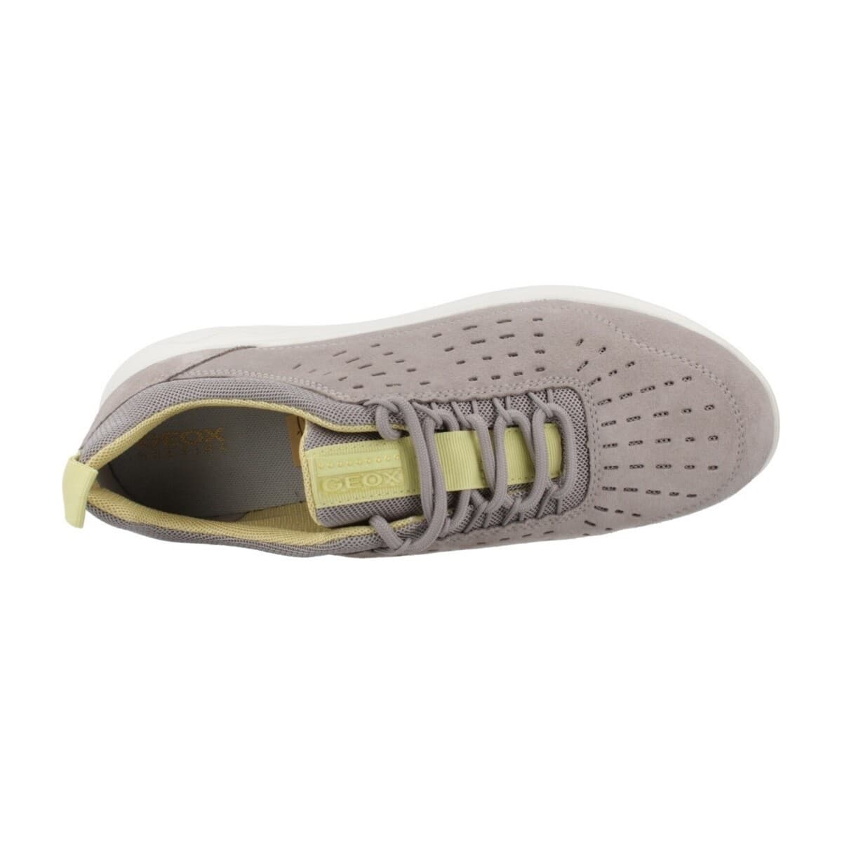 Women's Sneakers Geox Gray