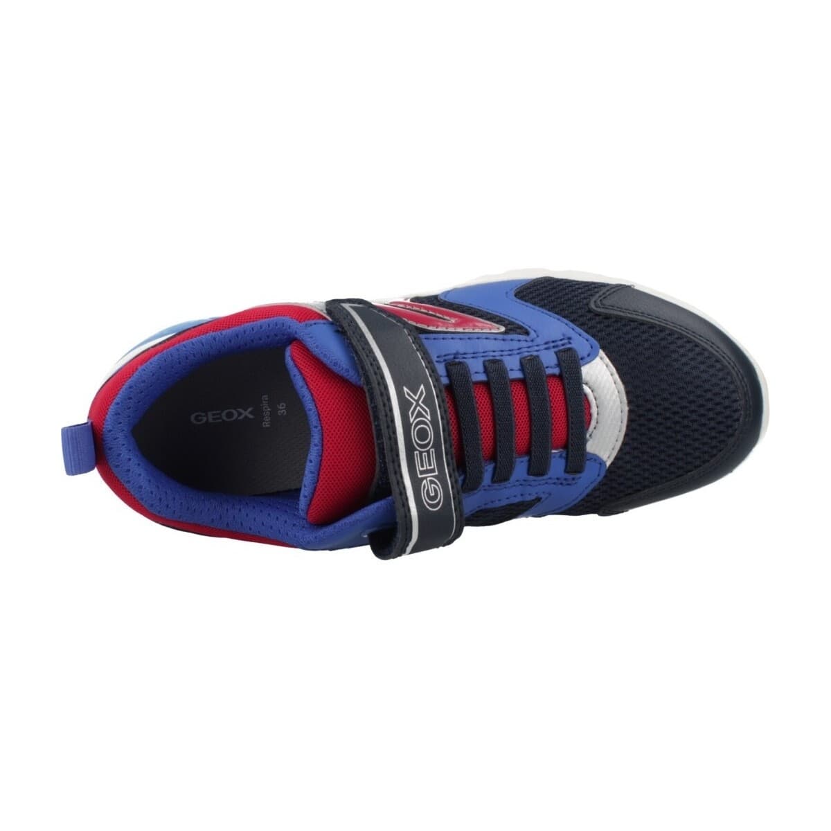 Boys' Sneakers Geox Blue