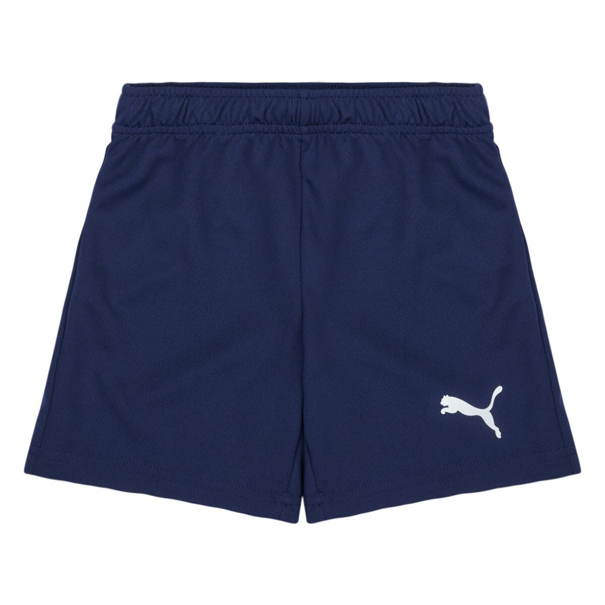Boys' Shorts Puma Multicolor
