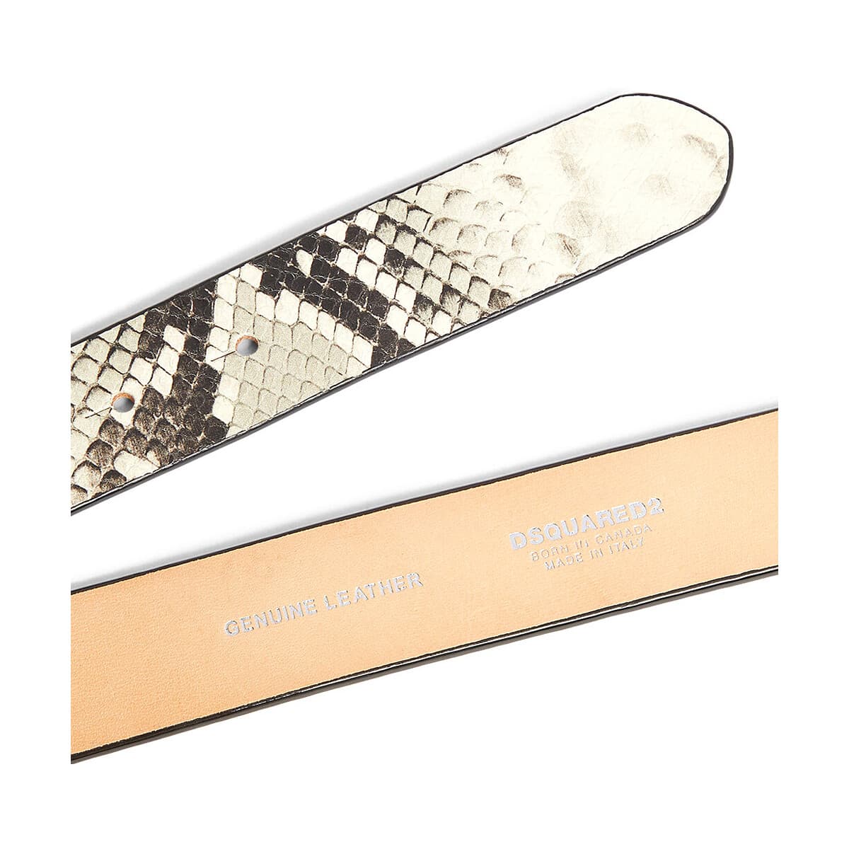 Women's Belts Dsquared Multicolor