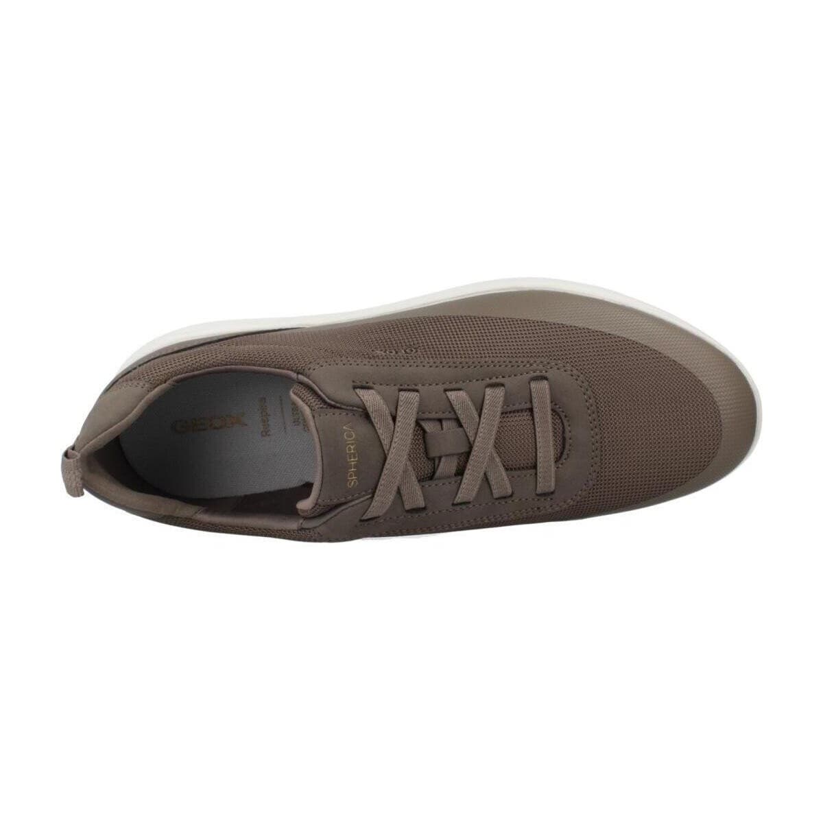 Men's Sneakers Geox Brown