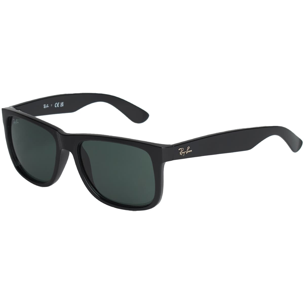 Women's Sunglasses Ray-ban Black