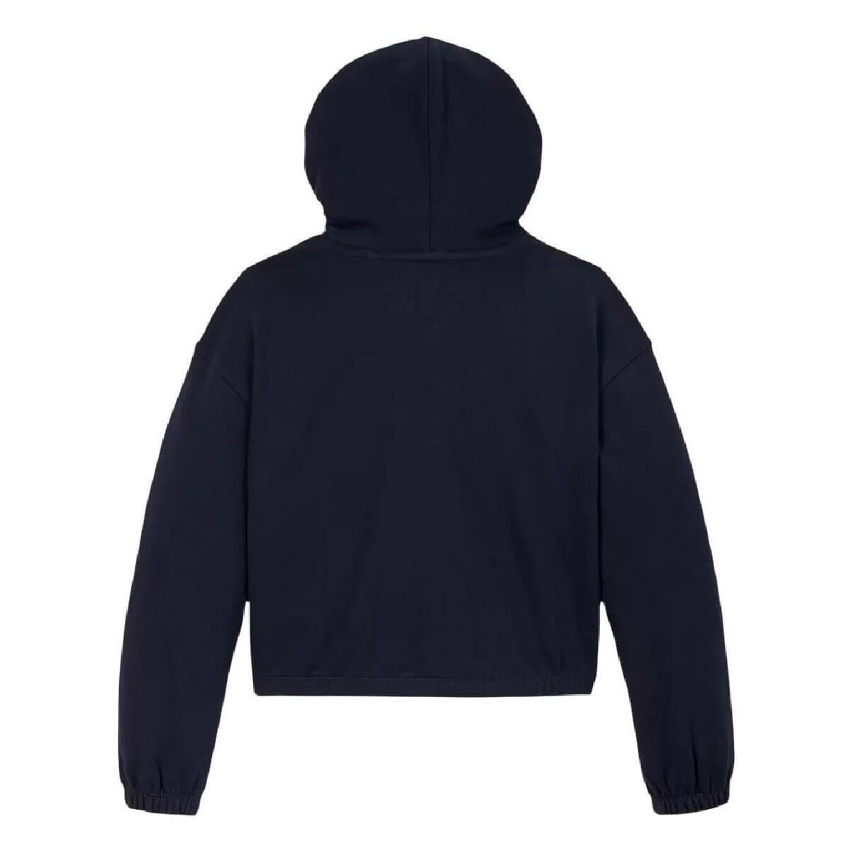 Girls' Hoodies & Sweatshirts Tommy Hilfiger Blue