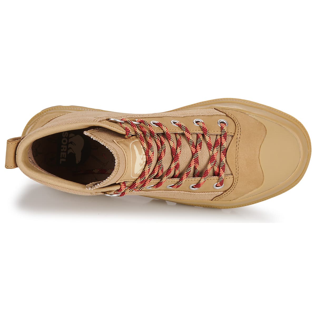 Women's Sneakers Sorel Brown