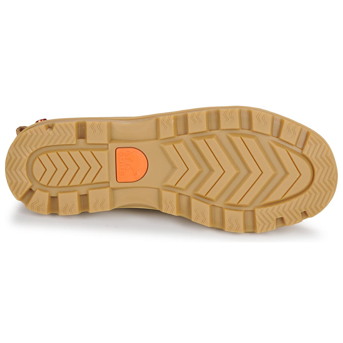 Women's Sneakers Sorel Brown