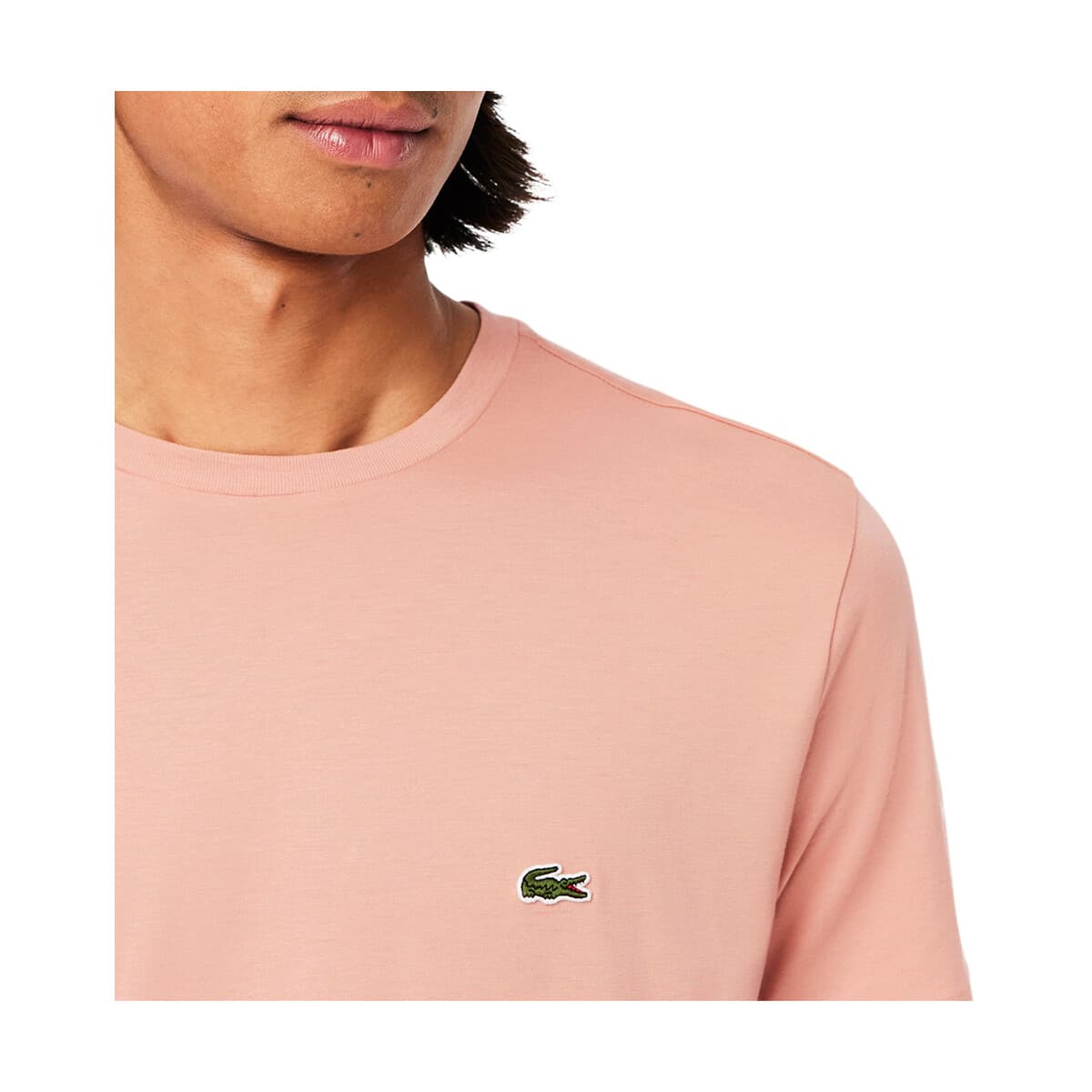 T-shirt με κοντά μανίκια Lacoste PIMA REGULAR FIT T-SHIRT MEN