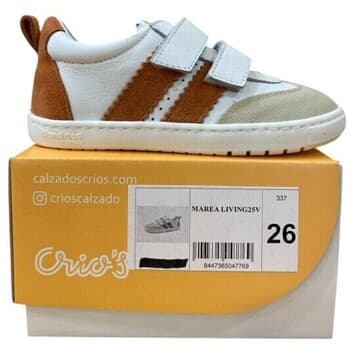 Boys' Sneakers Blanditos Orange