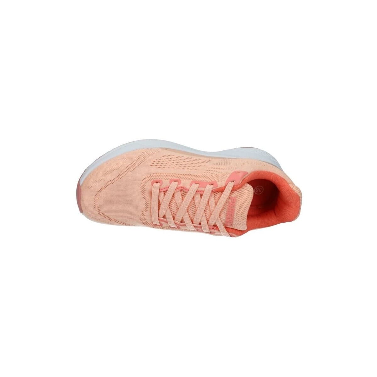 Women's Sneakers Paredes Pink