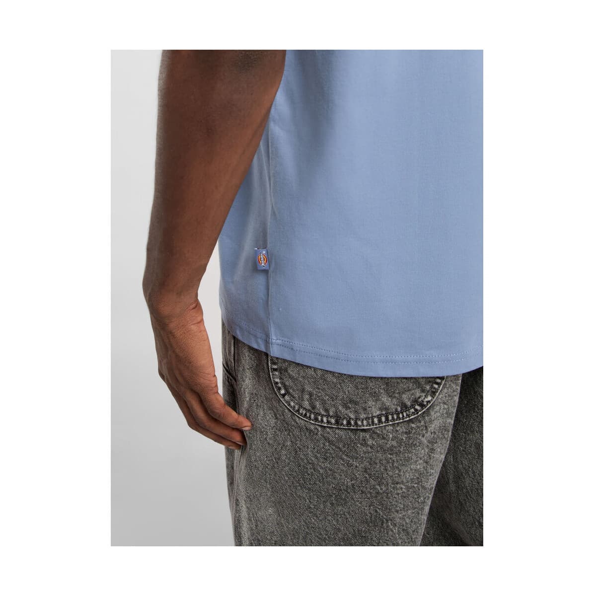 Men's T-Shirts Dickies Blue