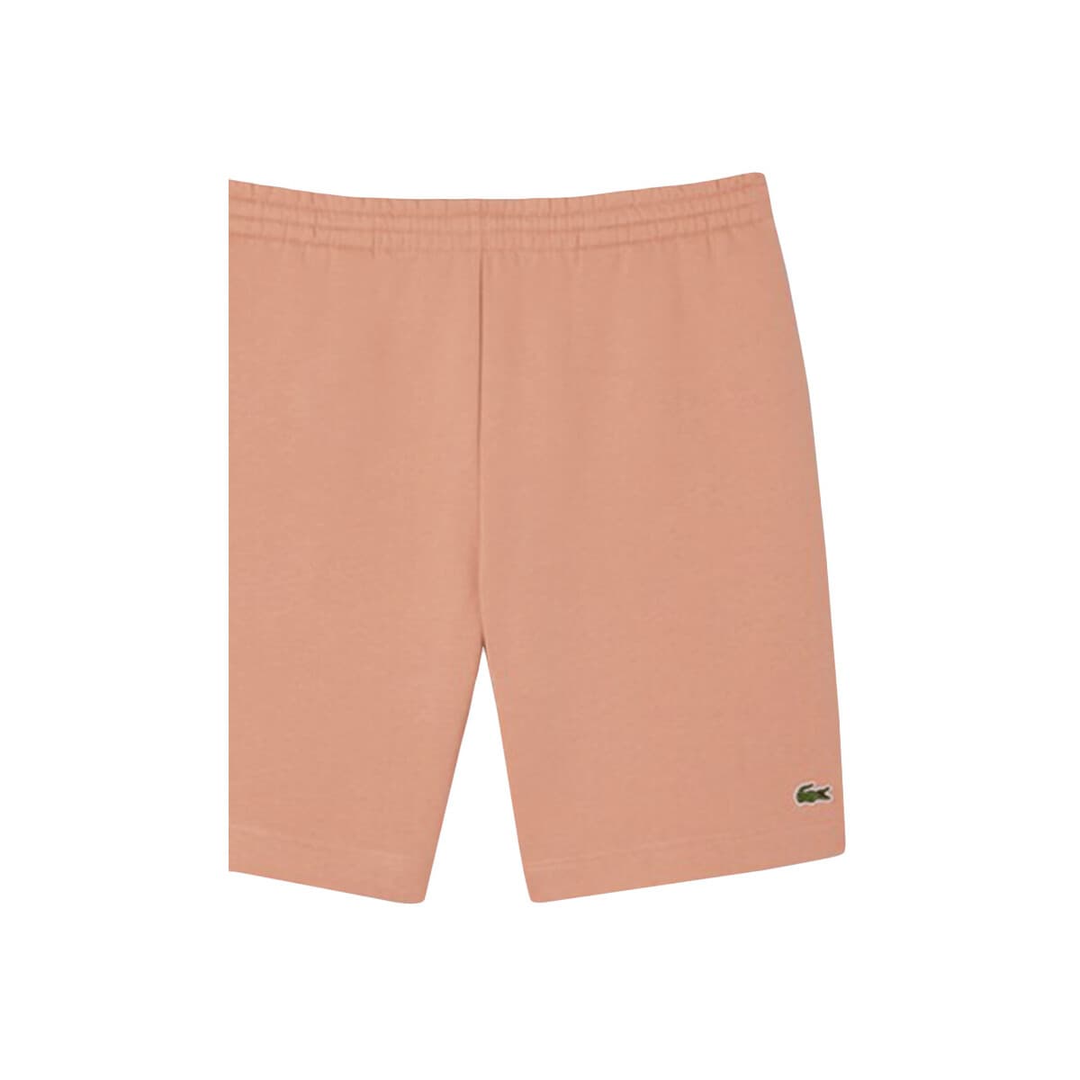 Men's Shorts Lacoste Multicolor
