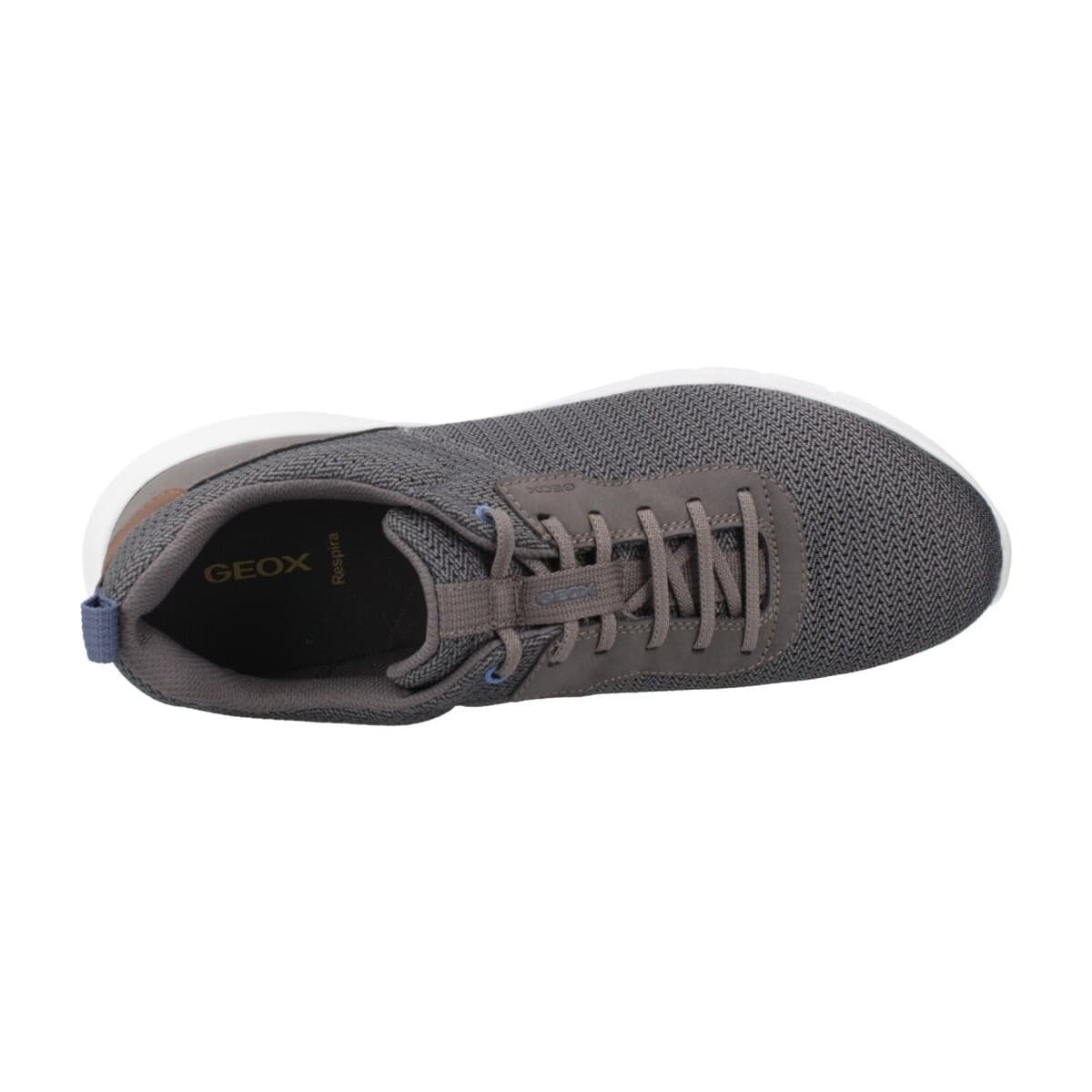 Men's Sneakers Geox Gray