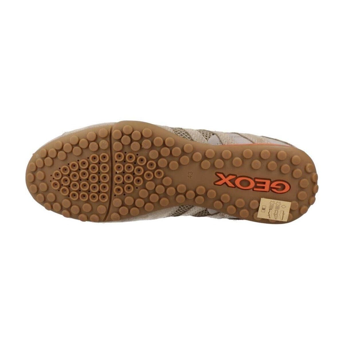 Men's Sneakers Geox Brown