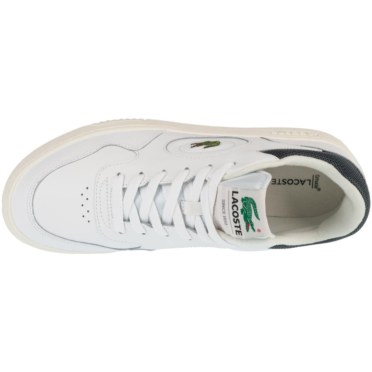 Men's Sneakers Lacoste White