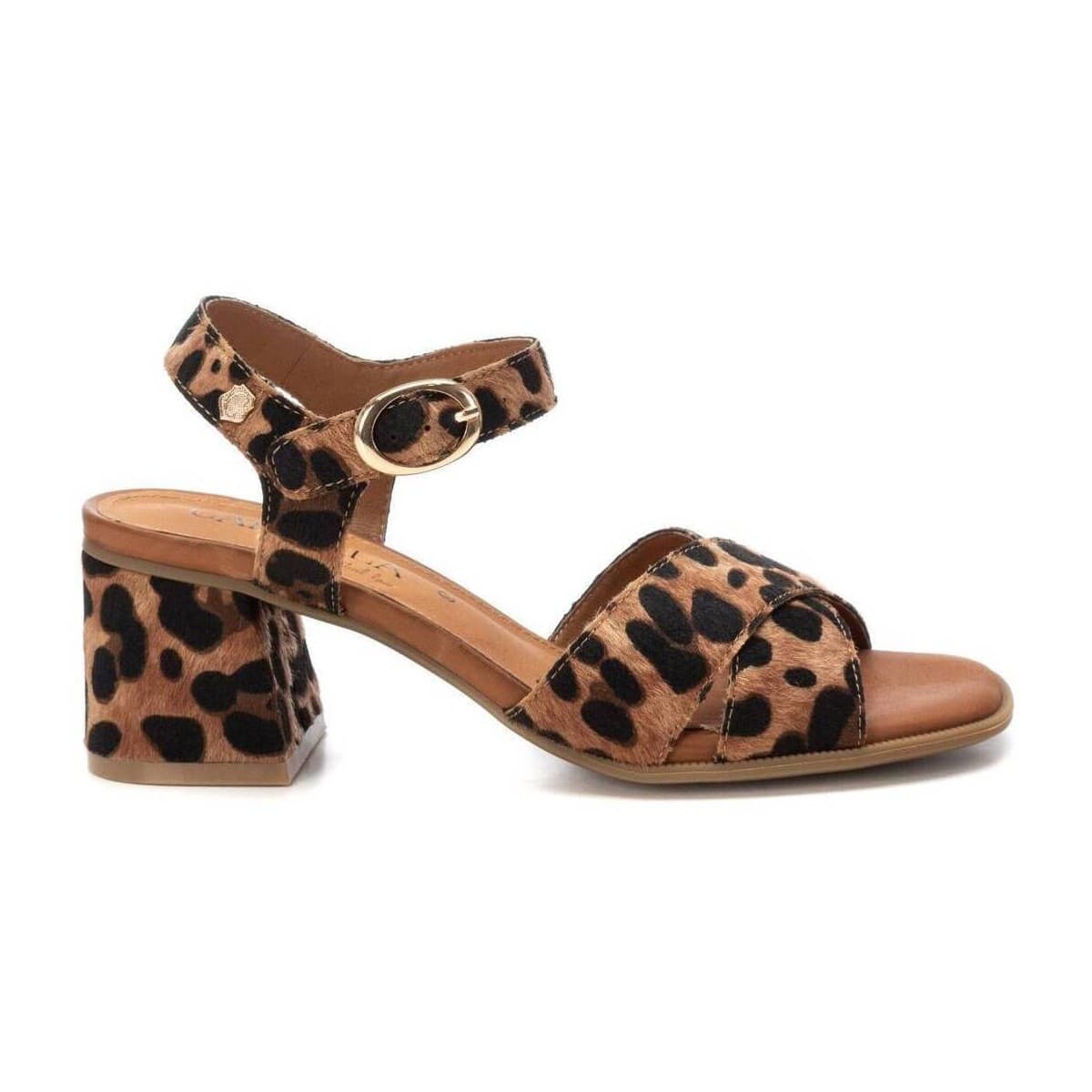 Women's Pumps Carmela Multicolor