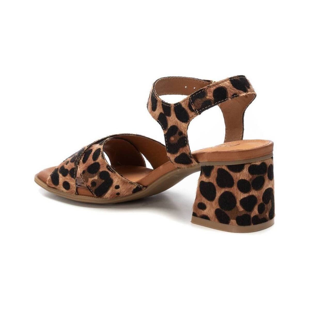 Women's Pumps Carmela Multicolor