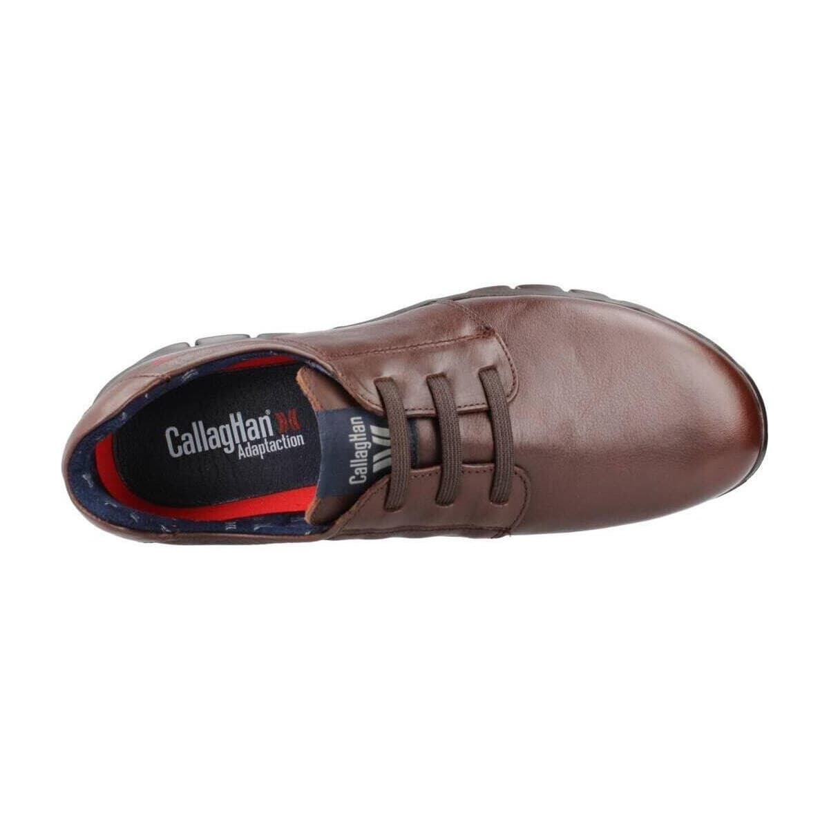 Men's Derby Shoes CallagHan Brown
