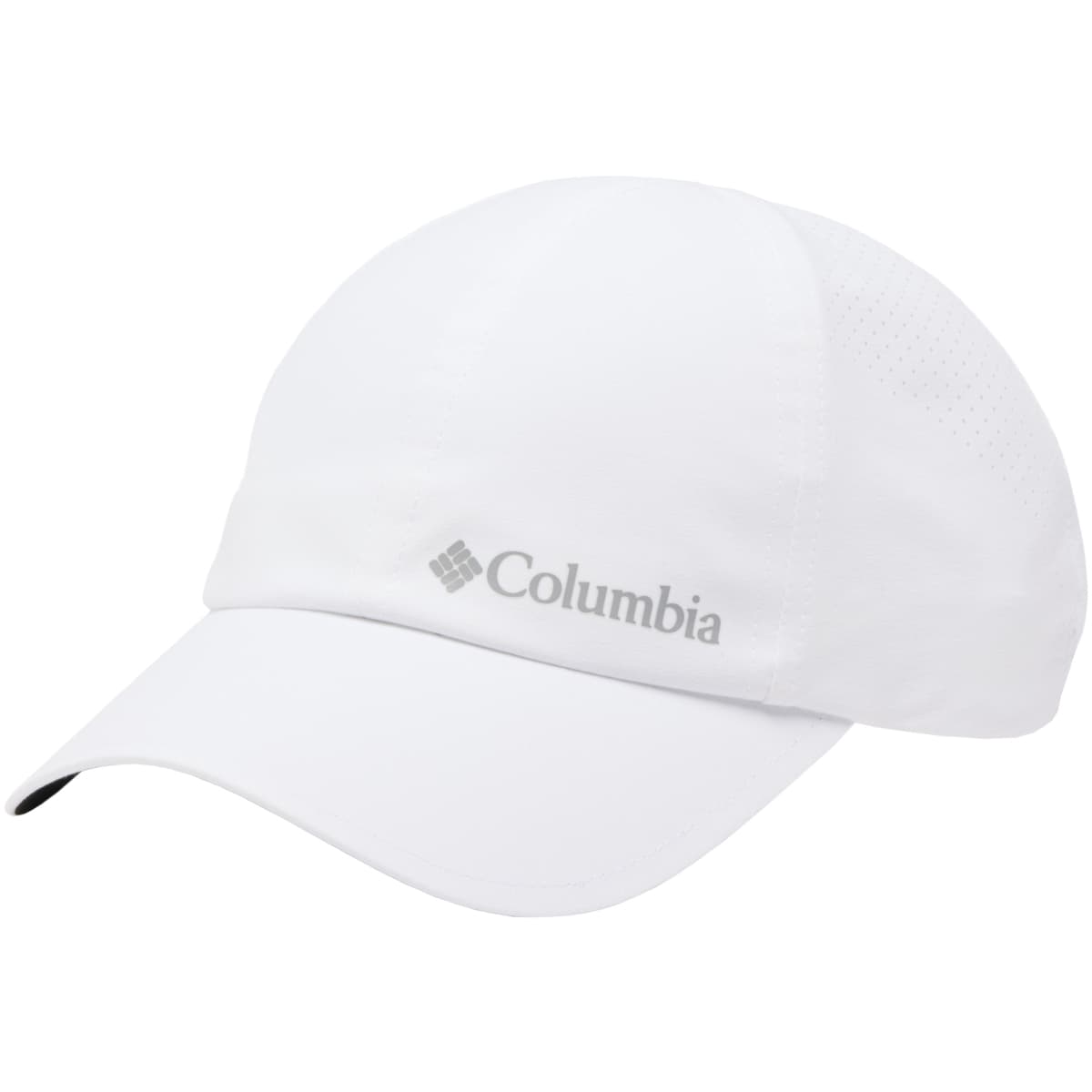 Columbia Silver Ridge IV Ball Cap 2121141100
