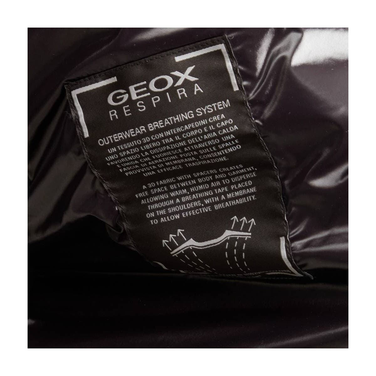 Men's Coats Geox Black