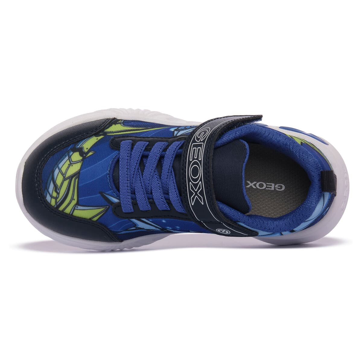 Boys' Sneakers Geox Blue