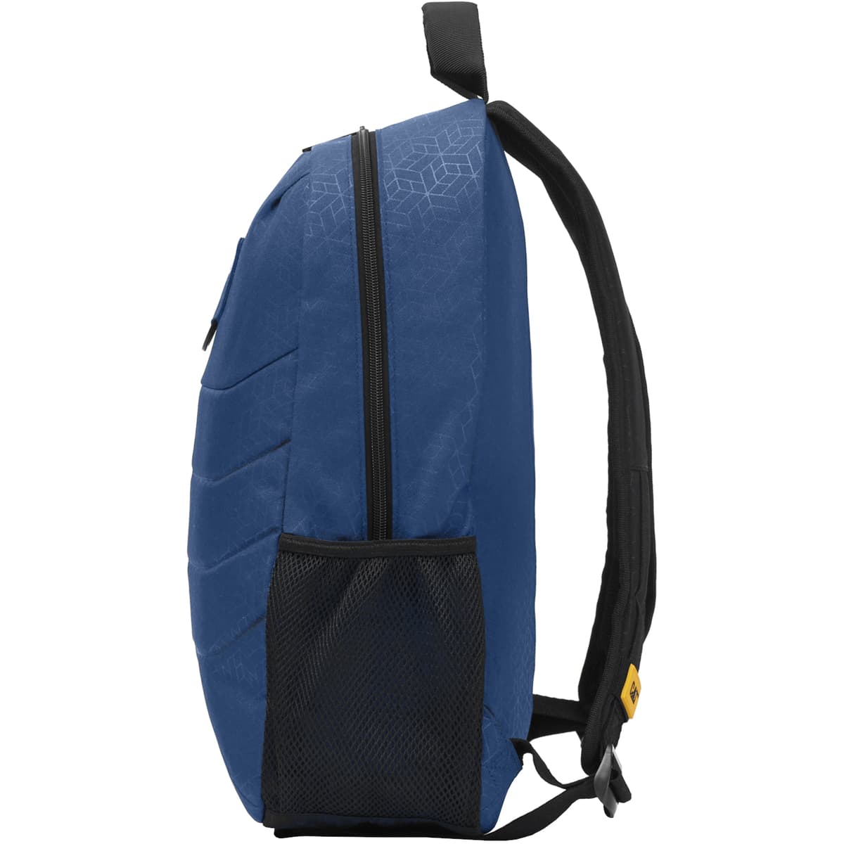 Women's Backpacks Caterpillar Blue