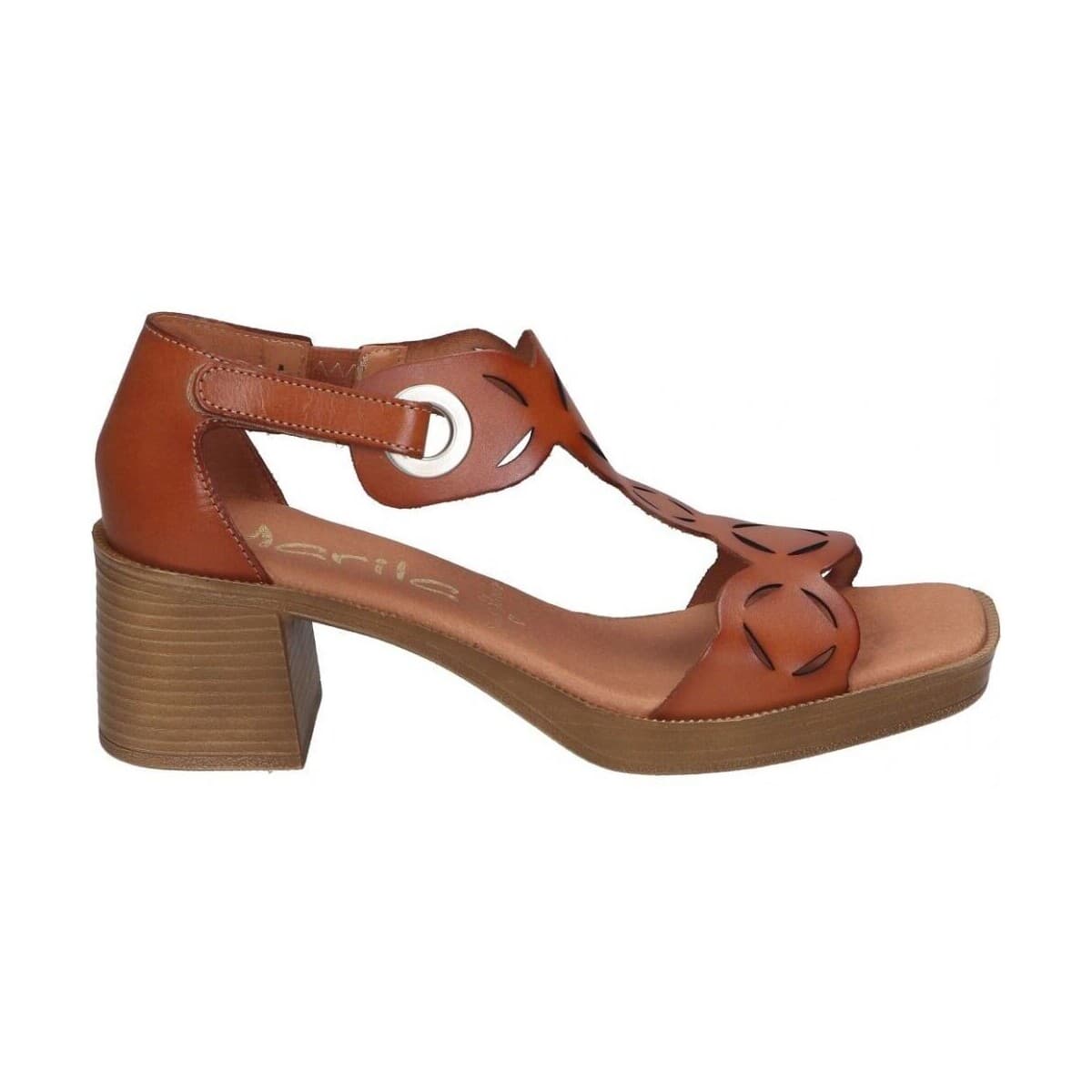 Women's Pumps Marila Brown