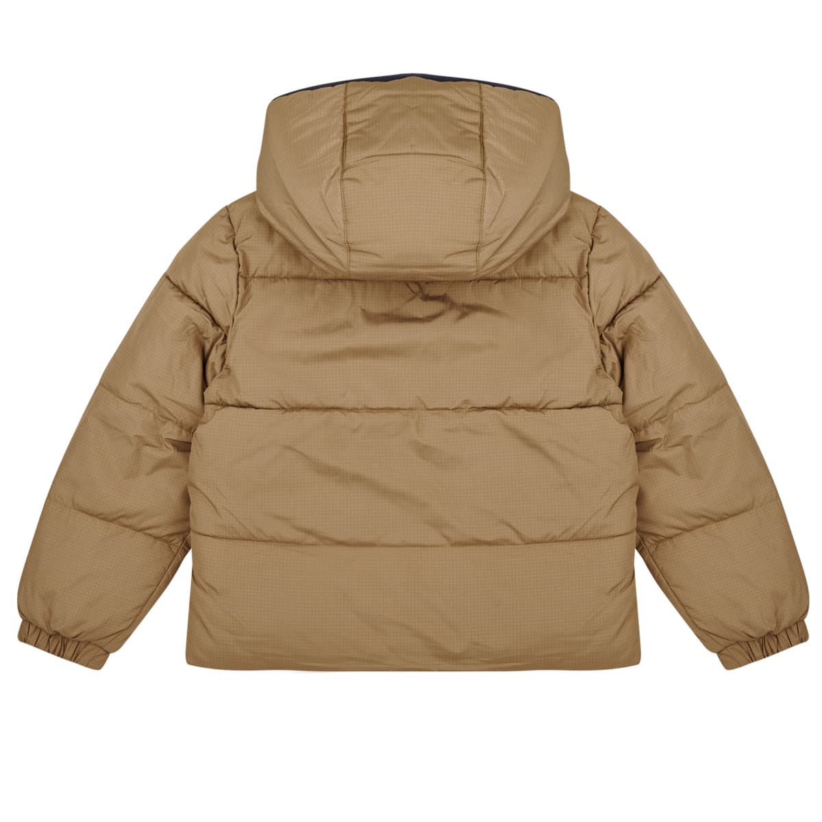 Boys' Jackets Timberland Multicolor