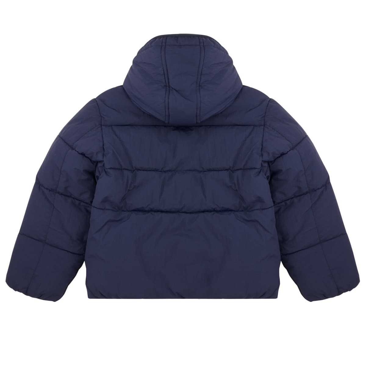 Boys' Jackets Timberland Blue