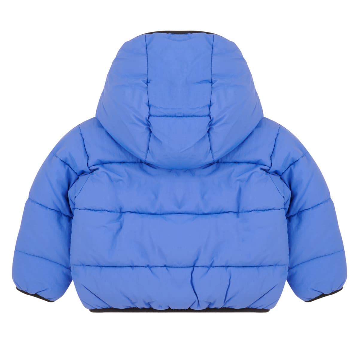 Boys' Jackets Timberland Blue