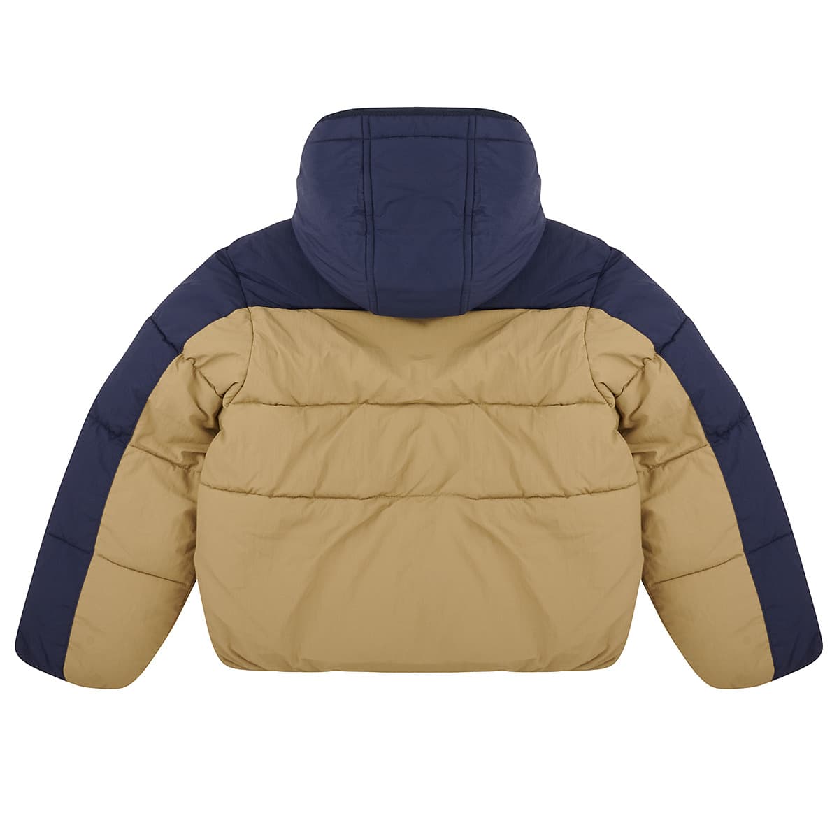Boys' Jackets Timberland Multicolor